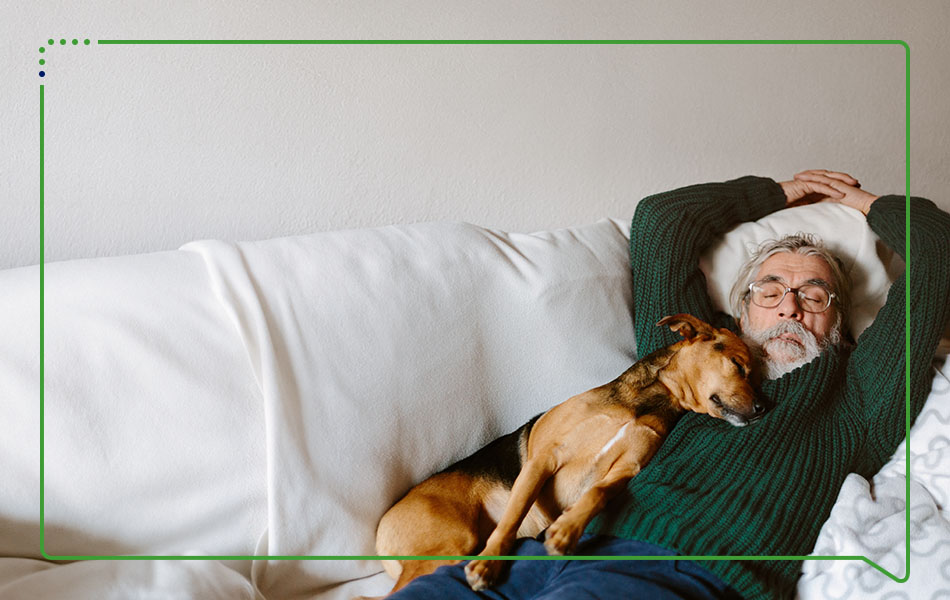  Älterer Mann mit einem Hund auf seinem Bauch macht ein Nickerchen auf dem Sofa